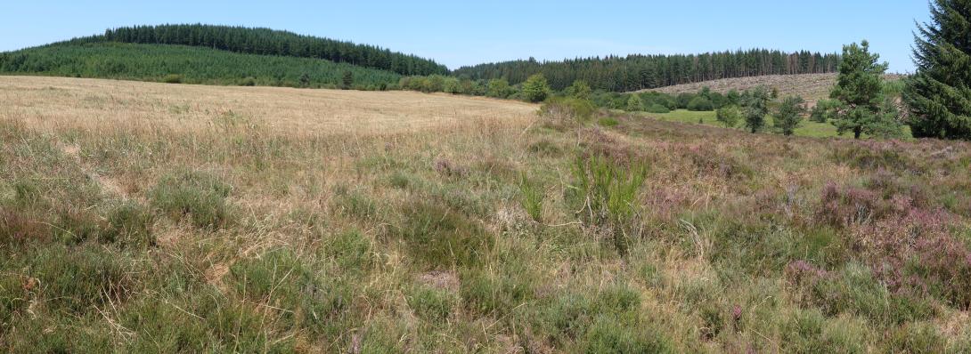 Photo panoramique de landes et tourbières