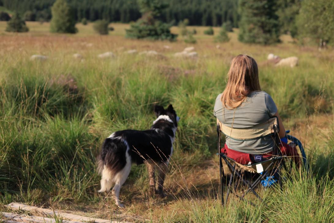 Bergère assise et son chien surveillant son troupeau